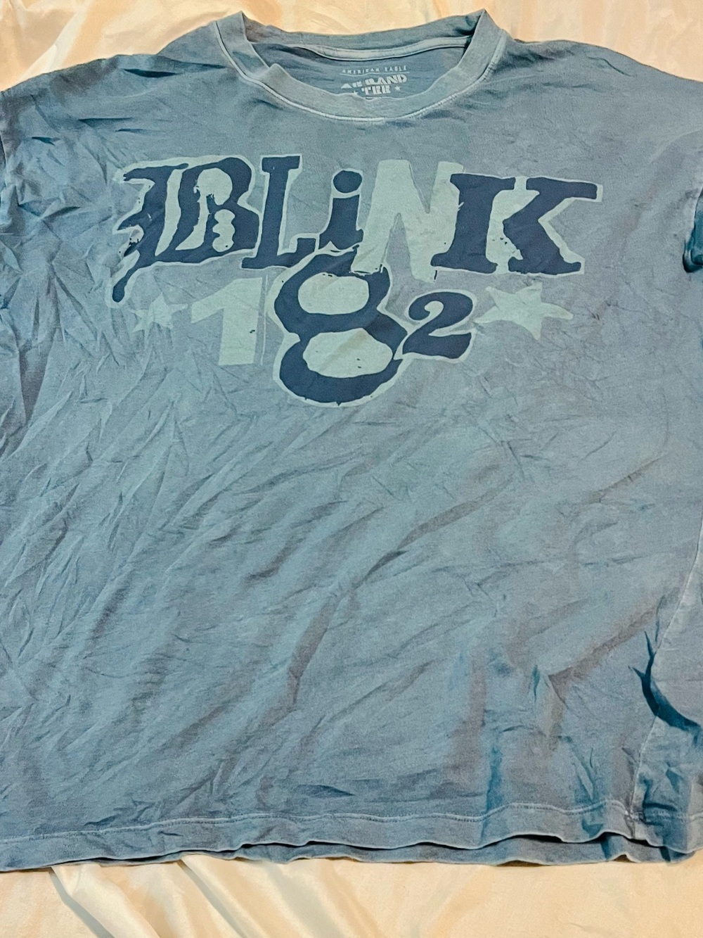 VTG Blink 182 T Shirt Size M